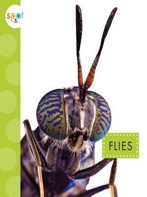 cover image of Flies